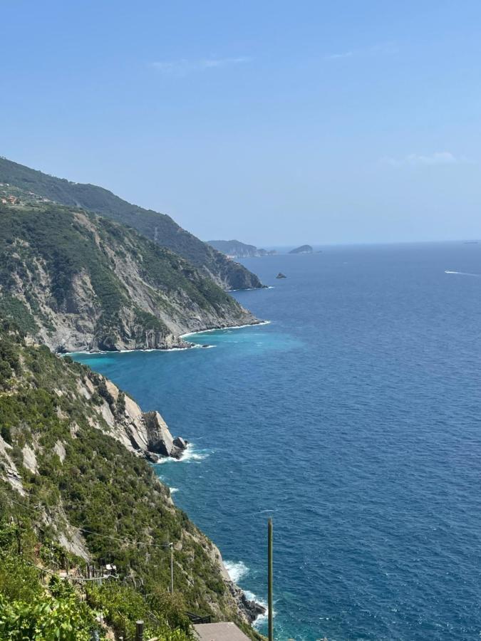 La Grigua Blu Apartment Riomaggiore Exterior foto