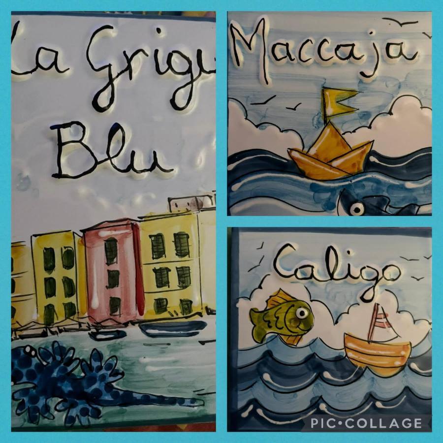 La Grigua Blu Apartment Riomaggiore Exterior foto